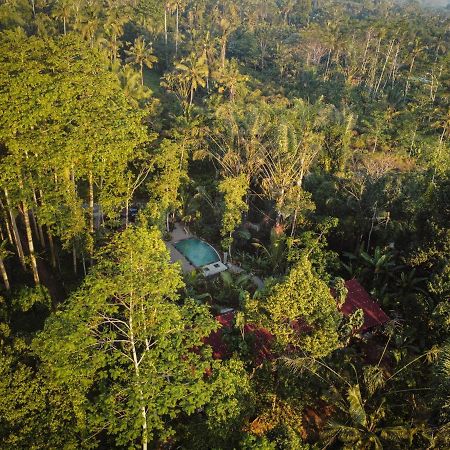 Daydream Lodge Tampaksiring Εξωτερικό φωτογραφία
