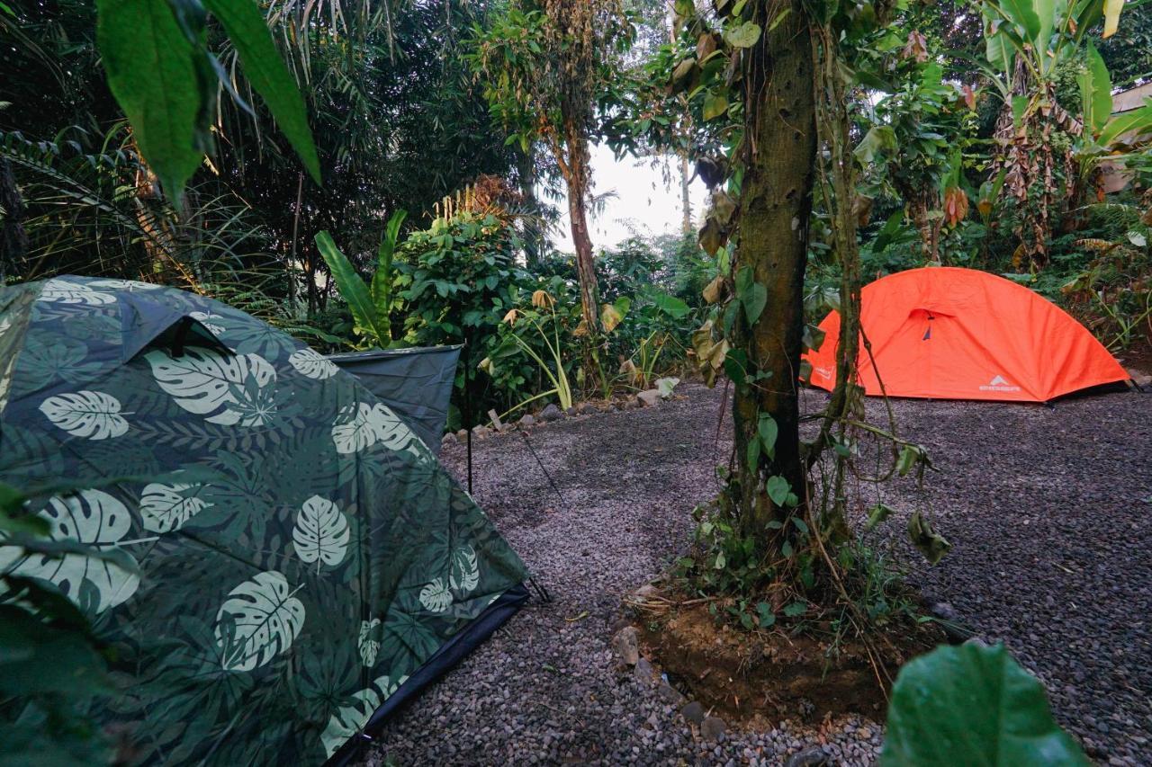 Daydream Lodge Tampaksiring Εξωτερικό φωτογραφία